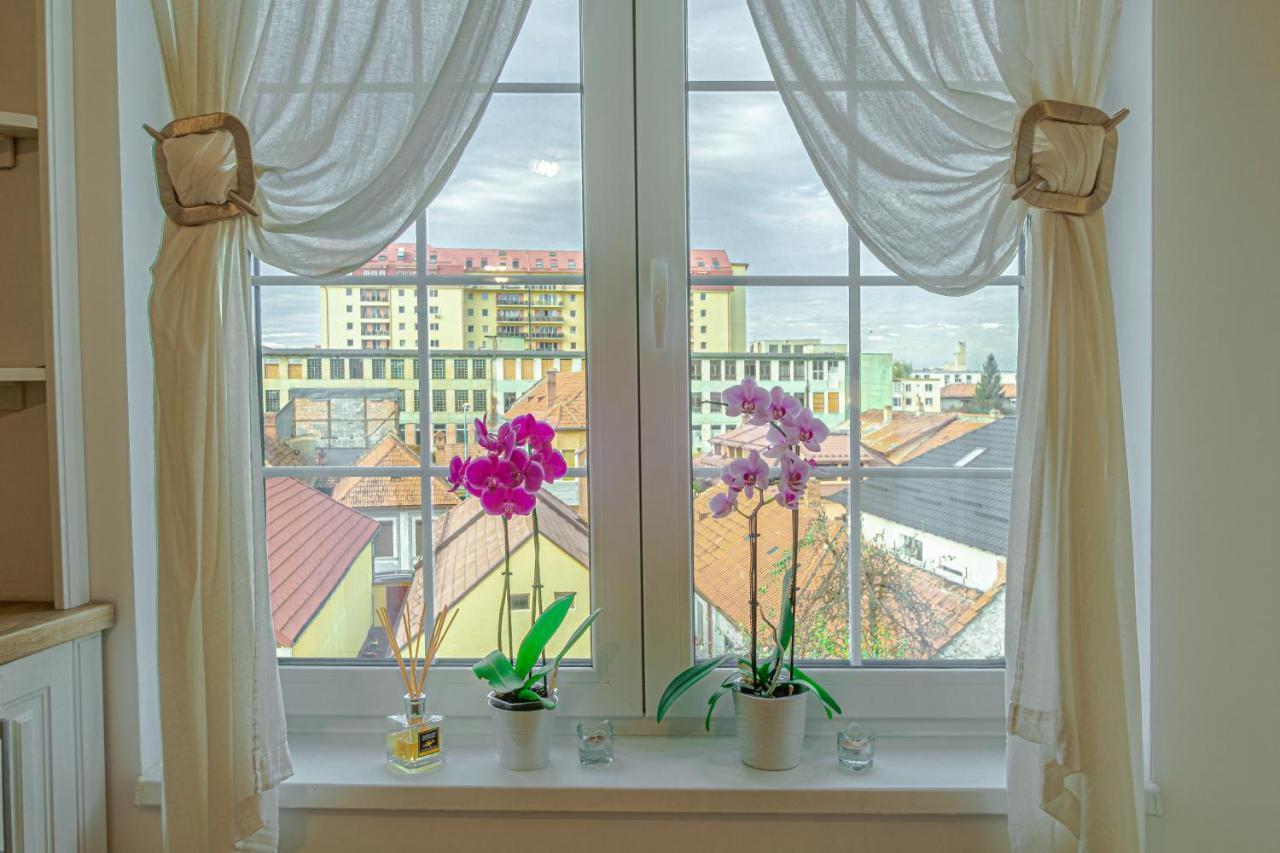 布拉索夫Opera Apart公寓 外观 照片